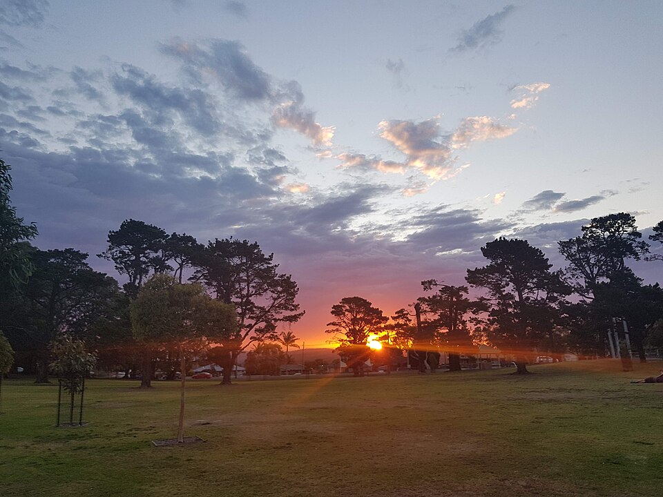 Cooper Street Reserve