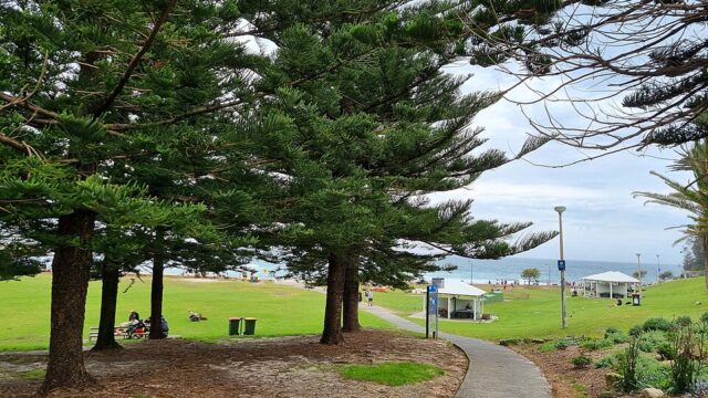 Bronte Park