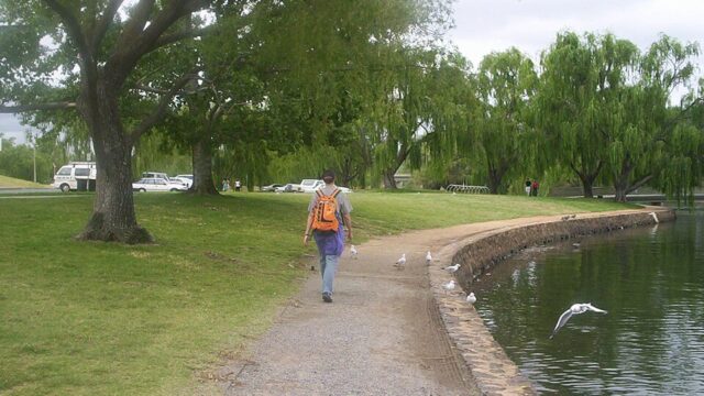Kings Park