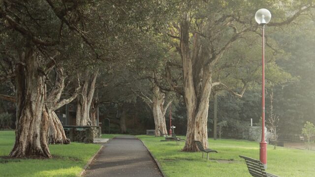Anderson Park