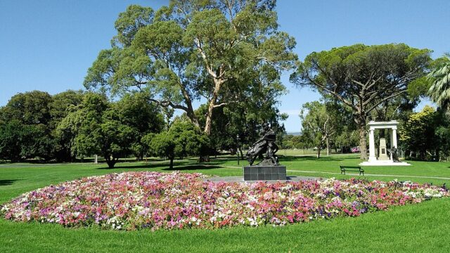 Red Gum Park / Karrawirra (Park 12)
