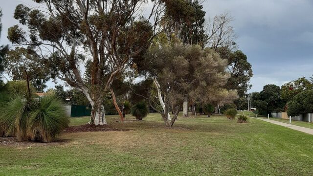 Aries Park