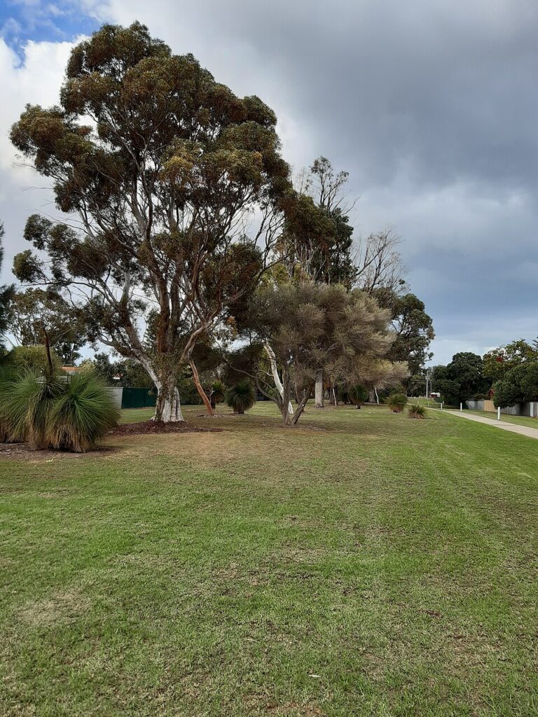 Aries Park