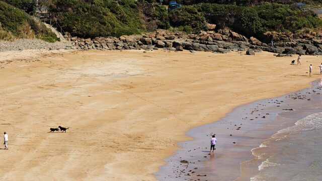 Back Beach