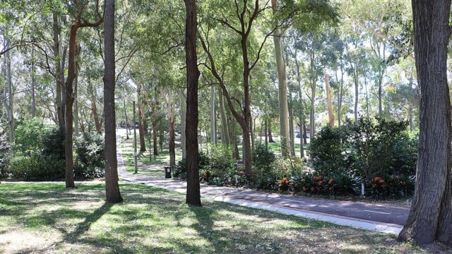Beauchamp Park
