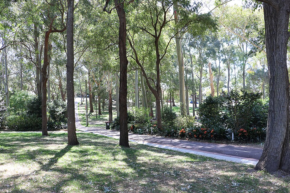 Beauchamp Park