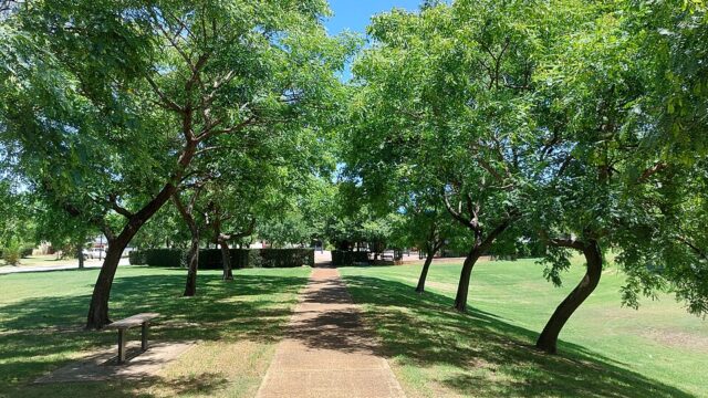 Centennial Park