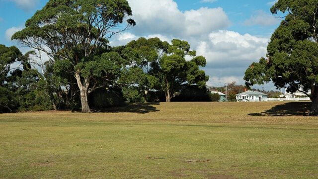Lions Park