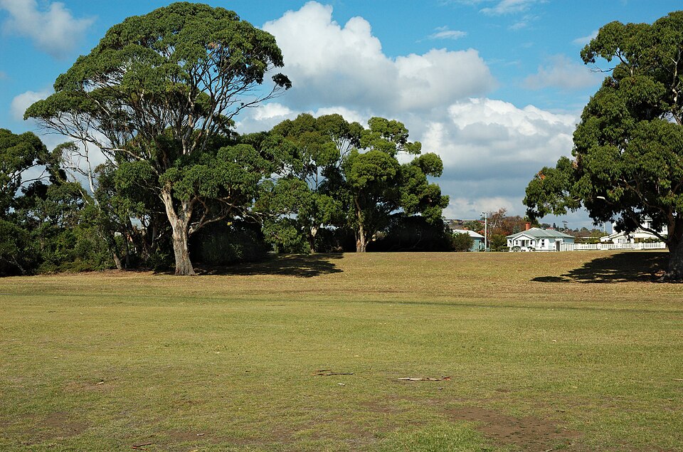 Lions Park