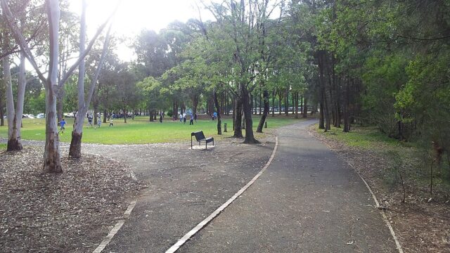 Black Muscat Park