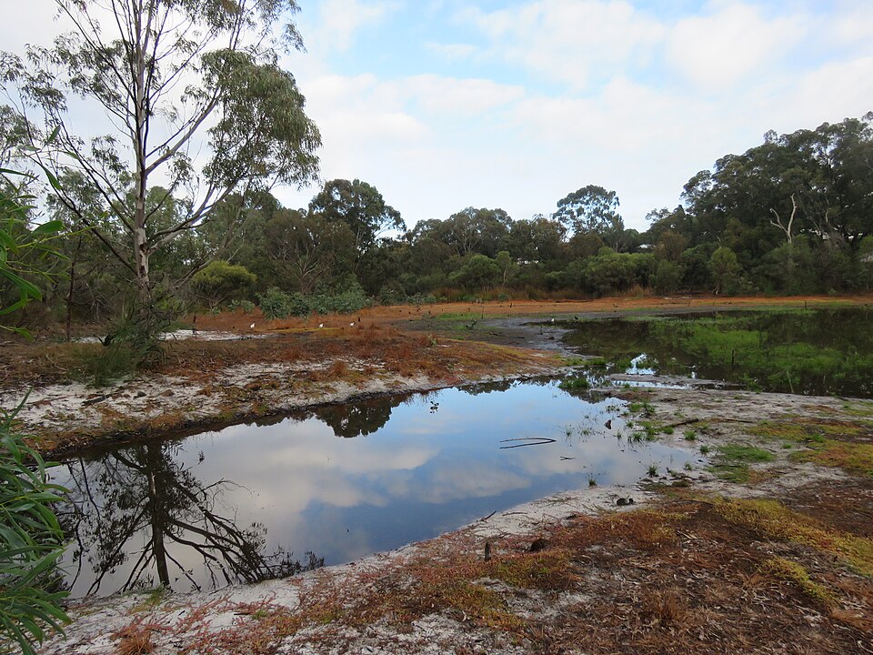 Blue Gum Reserve