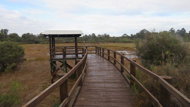 Booragoon Lake Reserve