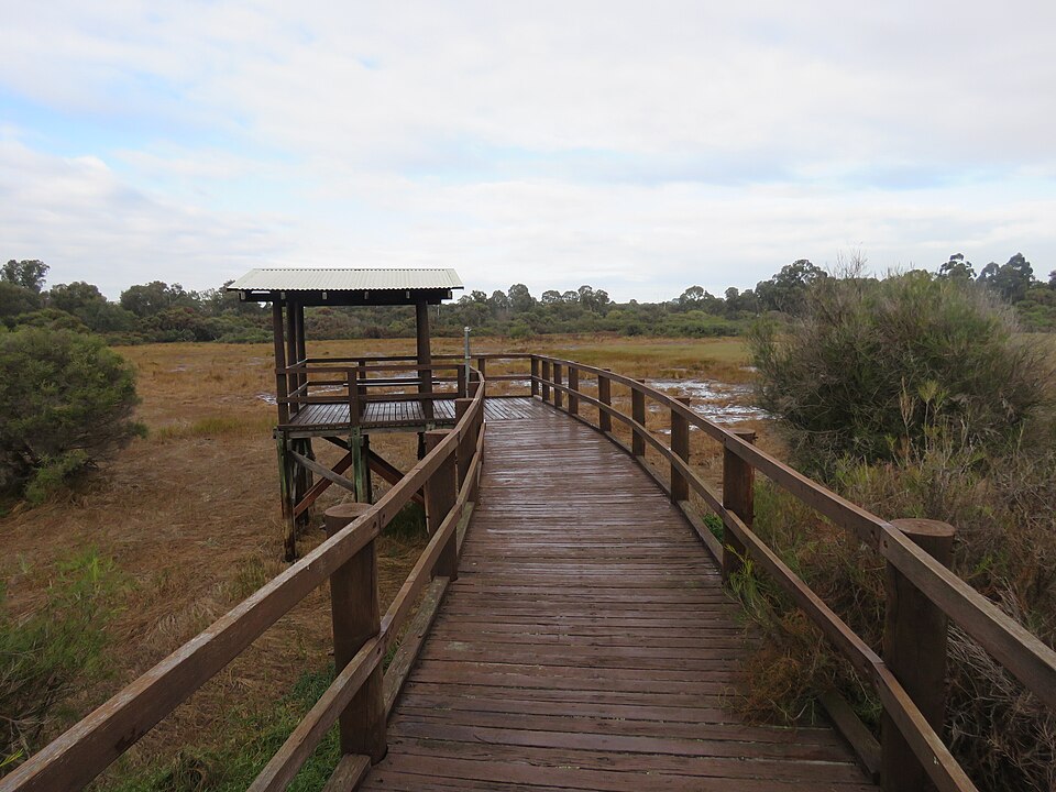 Booragoon Lake Reserve
