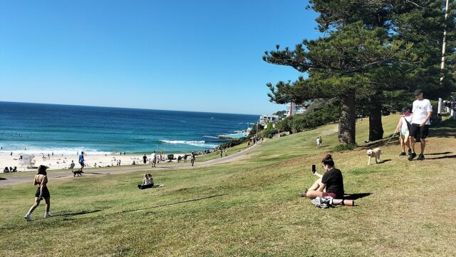 Bondi Park