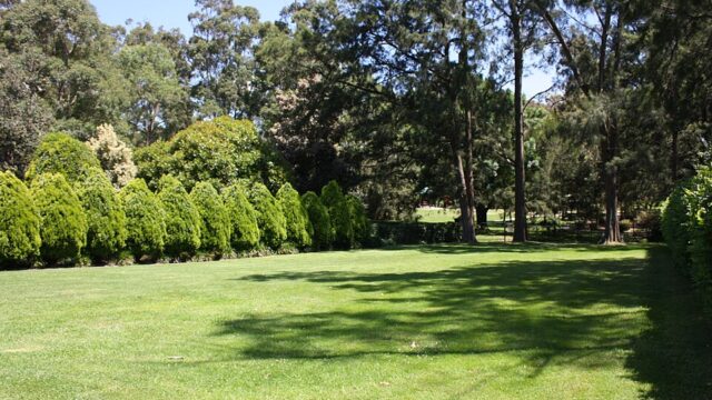 Boronia Park