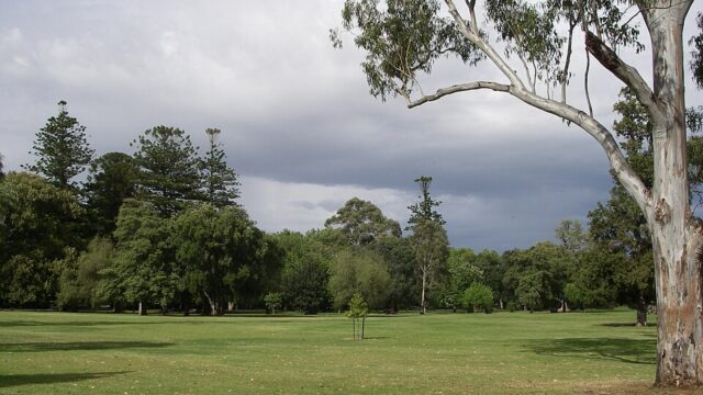 Botanic Park
