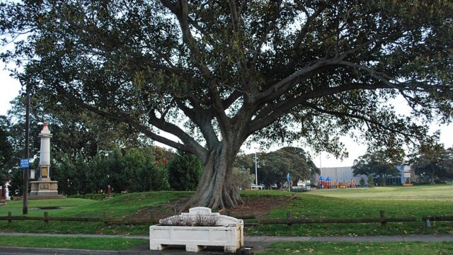 Booralee Park