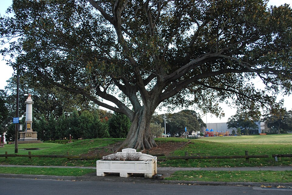 Booralee Park