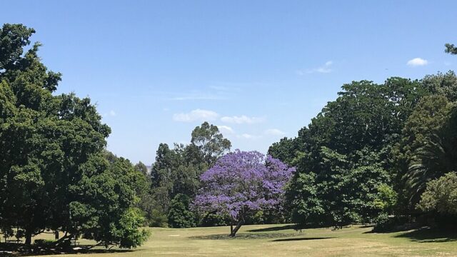 Brennan Park