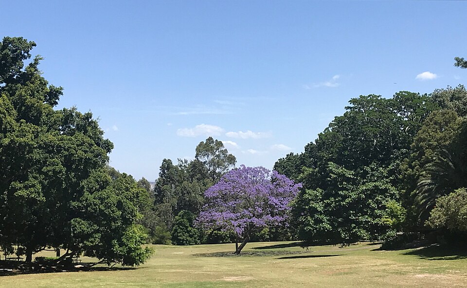 Brennan Park