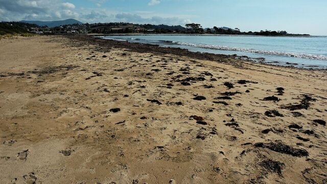 Buttons Beach