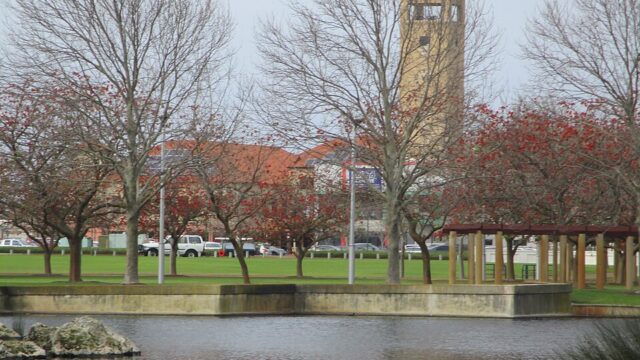City Park