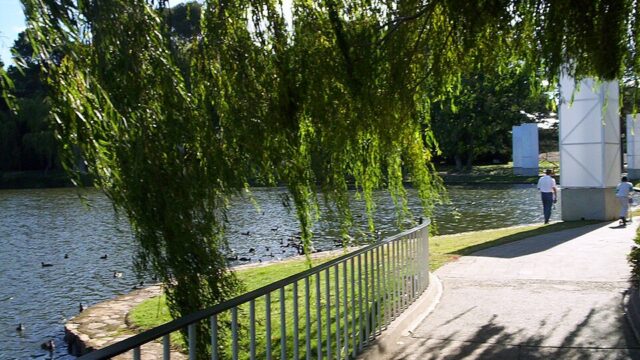 Commonwealth Park