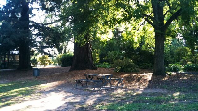 Cook Park