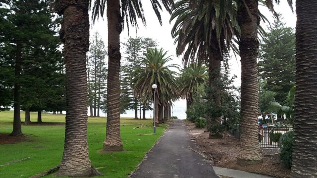 Shelly Park