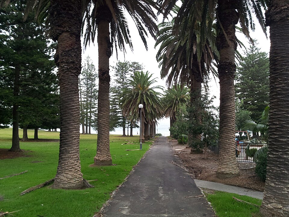 Shelly Park