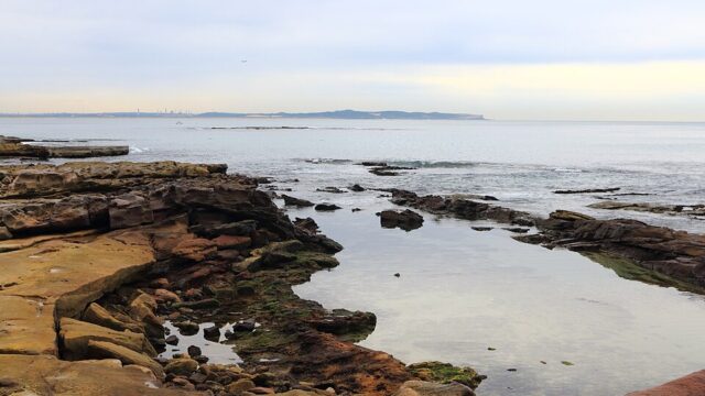 Shelly Beach Ocean Pool