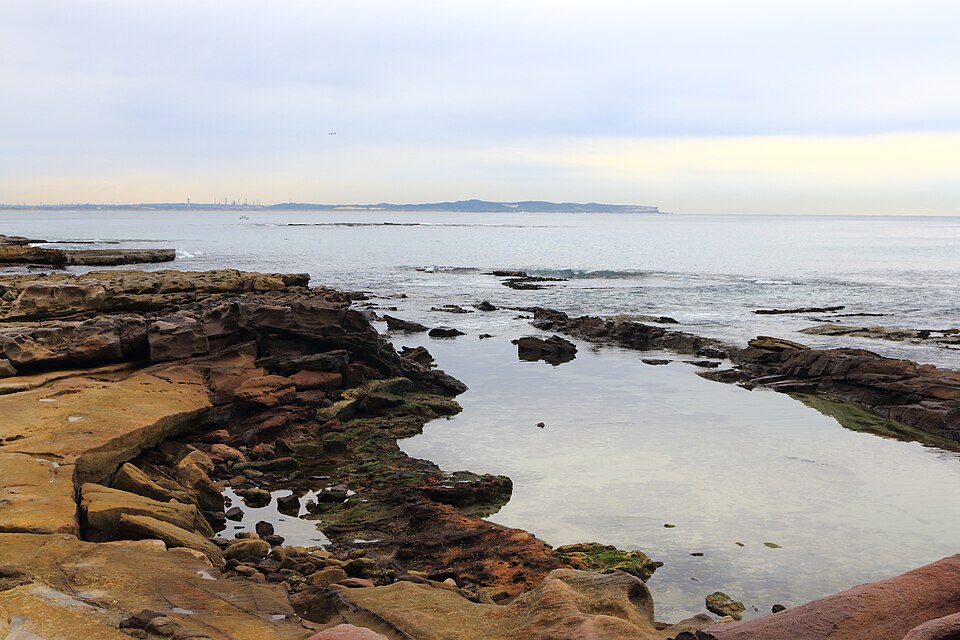 Shelly Beach Ocean Pool
