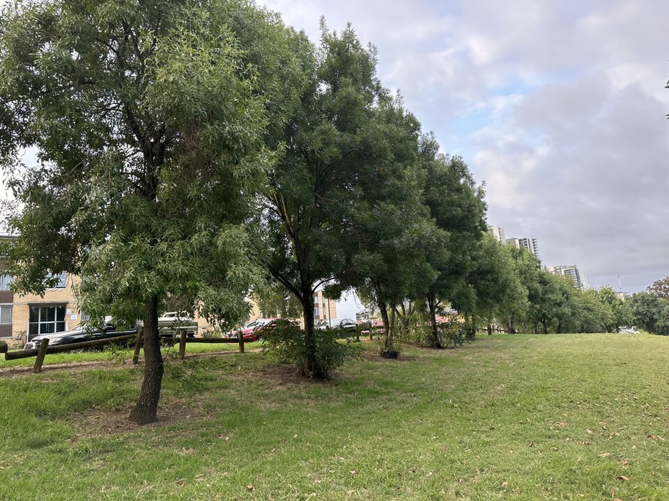 Discovery Park