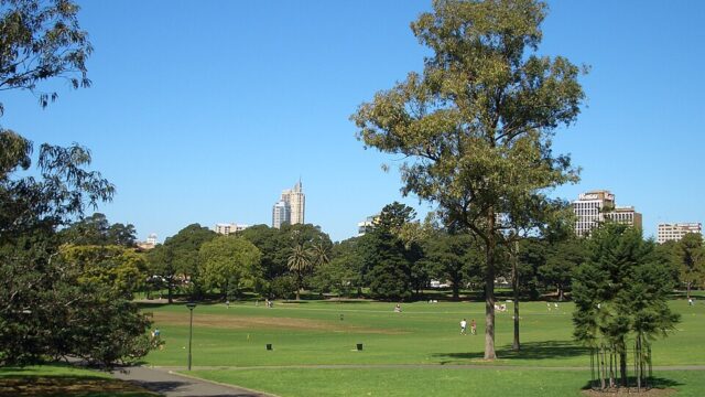 The Domain