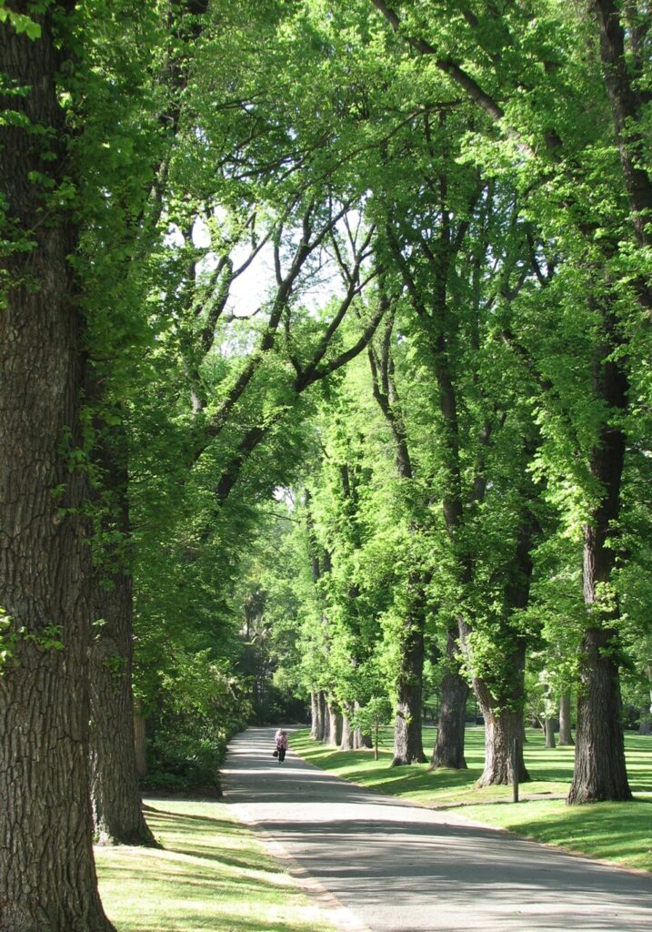 Fitzroy Gardens