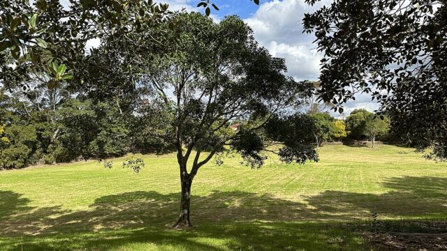 Fairall Park