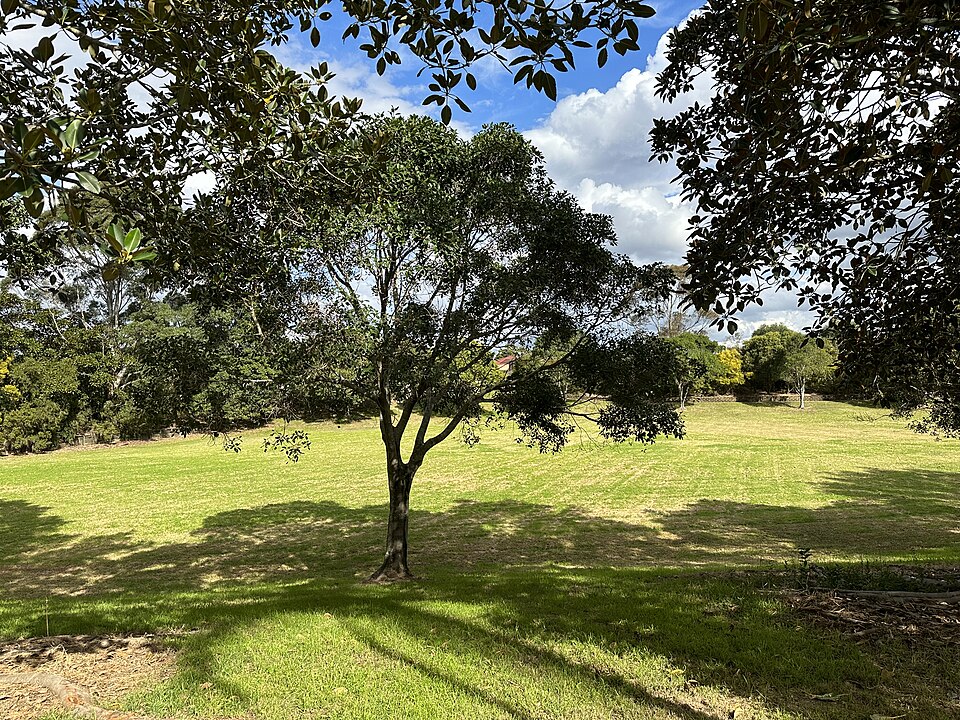 Fairall Park
