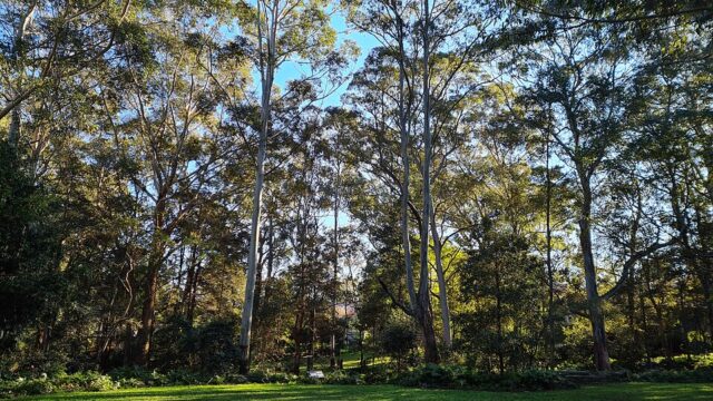 Ferndale Park