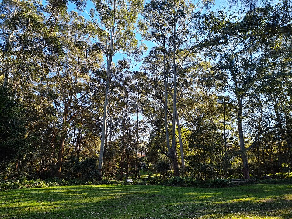 Ferndale Park