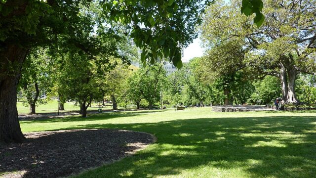 Flagstaff Gardens