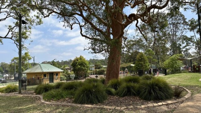 Glenbrook Park