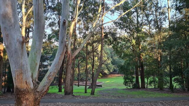 Helen Street Reserve