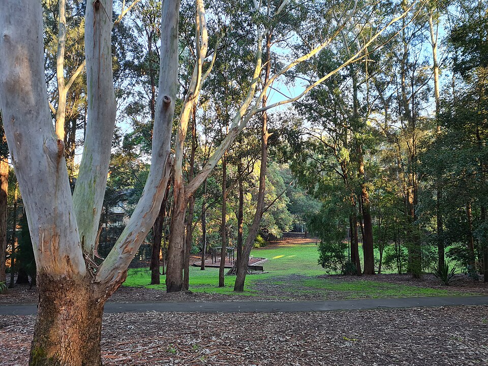 Helen Street Reserve