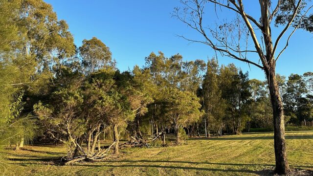 Heron Park