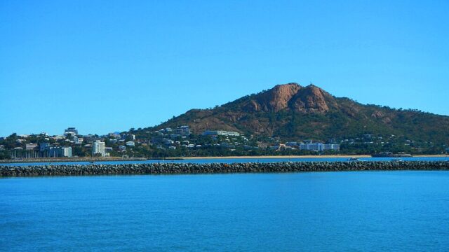 Cleveland Bay