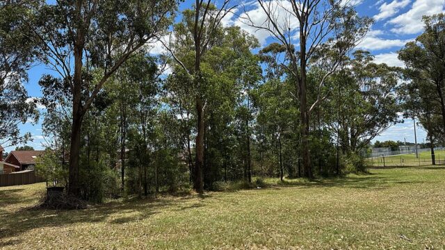 Jardine Park
