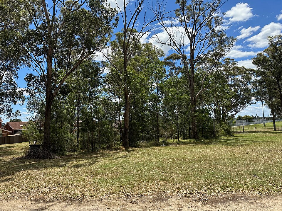 Jardine Park