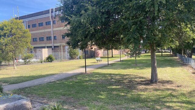 Jersey Park