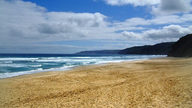 Shelly Beach