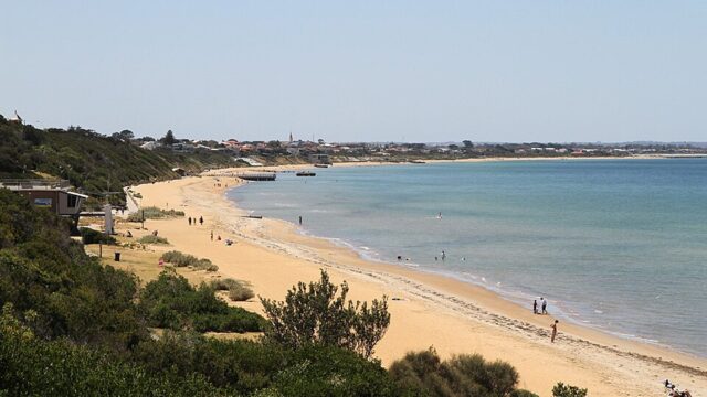 Mentone Dog Beach